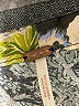Free People 100% Polyester Green 3/4 Sleeve Blouse Size XS - Sm - photo 7