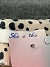She + Sky Animal Print Tan Casual Skirt Size L - photo 4