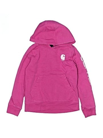 Carhartt Pullover Hoodie (view 1)