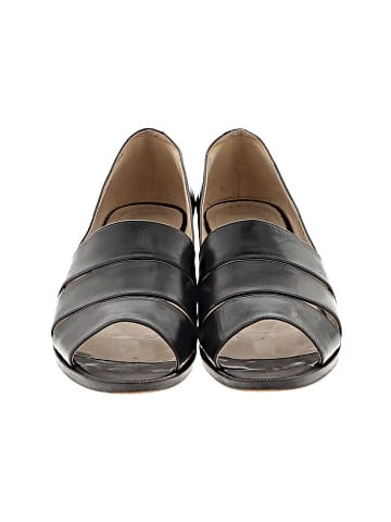 Bally Flats (view 2)