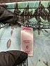 Justice 100% Rayon Tie-dye Teal Board Shorts Size 6 - photo 3