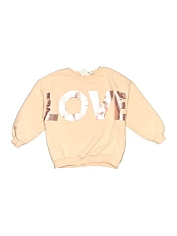 Zara Sweatshirt (view 1)