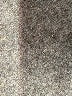 Prabal Gurung Floral Gray Active Pants Size 4 - photo 7
