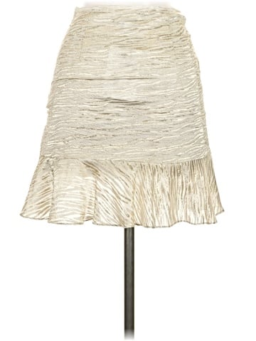 IRO Silk Skirt (view 2)