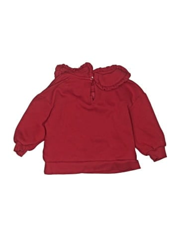 Carter's Sweatshirt (view 2)