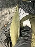FRAME Denim Green Jeans Size 31 waist - photo 9