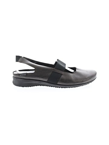 Mephisto Flats (view 1)