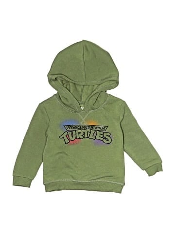 Nickelodeon Pullover Hoodie (view 1)