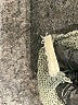 Poetry Gray Green Cardigan One size - photo 7