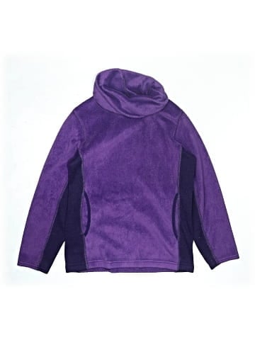 L.L.Bean Pullover Hoodie (view 1)