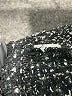 Zara Black Short Sleeve Blouse Size S - photo 9