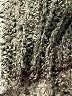 Unbranded Gray Poncho One size (estimated) - photo 7