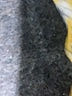 Max Studio Paisley Yellow Casual Skirt Size XS - photo 5