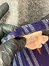 Mata Traders Blue Casual Skirt Size XS - photo 4