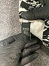 Apt. 9 Print Black Active Pants Size 8 - photo 8