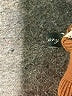 Unbranded Brown Turtleneck Sweater Size L - photo 8