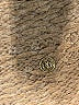 Assorted Brands Brown Pullover Sweater Size M - photo 7