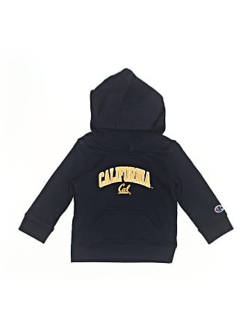 Champion Sweatshirt (view 1)