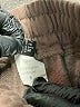 Assorted Brands Solid Brown Tan Casual Pants Size M - photo 8