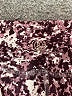 Balance Collection Print Purple Active Pants Size M - photo 7