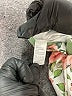 Unbranded Floral Green Sweatpants Size 3-6 mo - photo 4