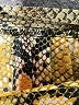 Assorted Brands Animal Print Gold Yellow Casual Skirt Size S (estimated) - photo 4