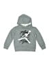 Air Jordan Gray Pullover Hoodie Size 2T - photo 1