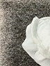 Unbranded Ivory Track Pants Size M - photo 8