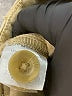 Not Monday Tan Cargo Pants Size 10 - photo 8