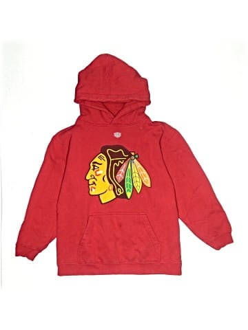 NHL Pullover Hoodie (view 1)
