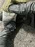 DKNY Green Cargo Pants Size 4 - photo 8
