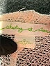 Staring at Stars Ivory Cardigan Size M - photo 7