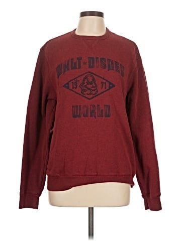 Disney Parks Sweatshirt (view 1)