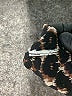 Joie Animal Print Black 3/4 Sleeve Blouse Size S - photo 8