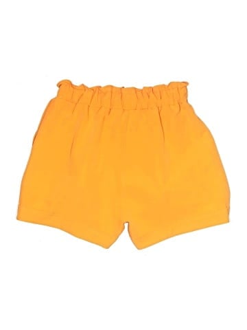 HerringStones Shorts (view 2)