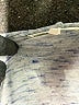 Pure & Good Silver Gray Long Sleeve Top Size XXS - photo 7