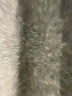 G by Giuliana Rancic 100% Polyester Tweed Pink Jacket Size 1X - photo 7