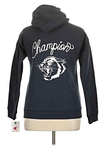 Champion Pullover Hoodie - back