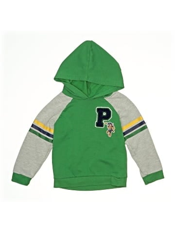 Nickelodeon Pullover Hoodie (view 1)