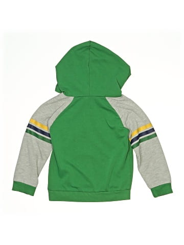 Nickelodeon Pullover Hoodie (view 2)