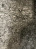 Imogene and Willie Stars Blue Jeans Size 26 waist - photo 8