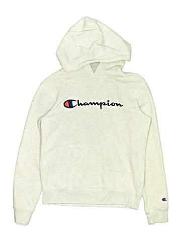 Champion Pullover Hoodie (view 1)
