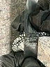 Steve Madden Animal Print Ivory Casual Pants Size XXL - photo 5