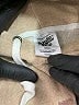 Pacific & Co. Tan Sweatshirt Size S - photo 7