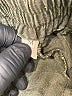 Assorted Brands Solid Green Casual Pants Size M - photo 8
