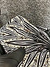 X by Gottex Print Gray Shorts Size XS - photo 4