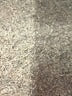 Nine West Gray Active Pants Size XXL - photo 5