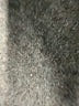 Sanctuary Green Cargo Pants Size 25 waist - photo 8
