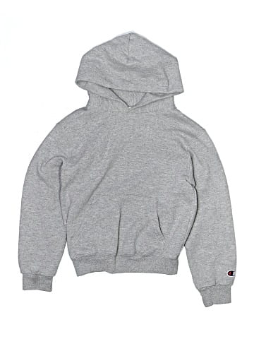Champion Pullover Hoodie (view 1)