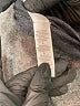 Bella Metallic Gray Short Sleeve T-Shirt Size L - photo 8